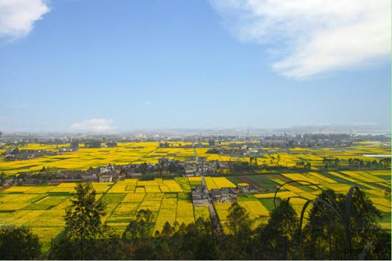 设的最大水电站--安谷电站开闸放水润泽万亩良田