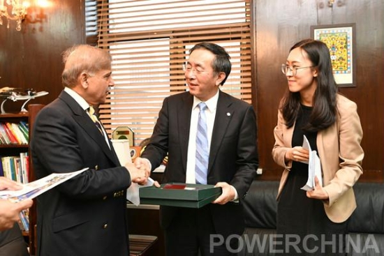 巴基斯坦gdp增长率_巴基斯坦国旗(3)