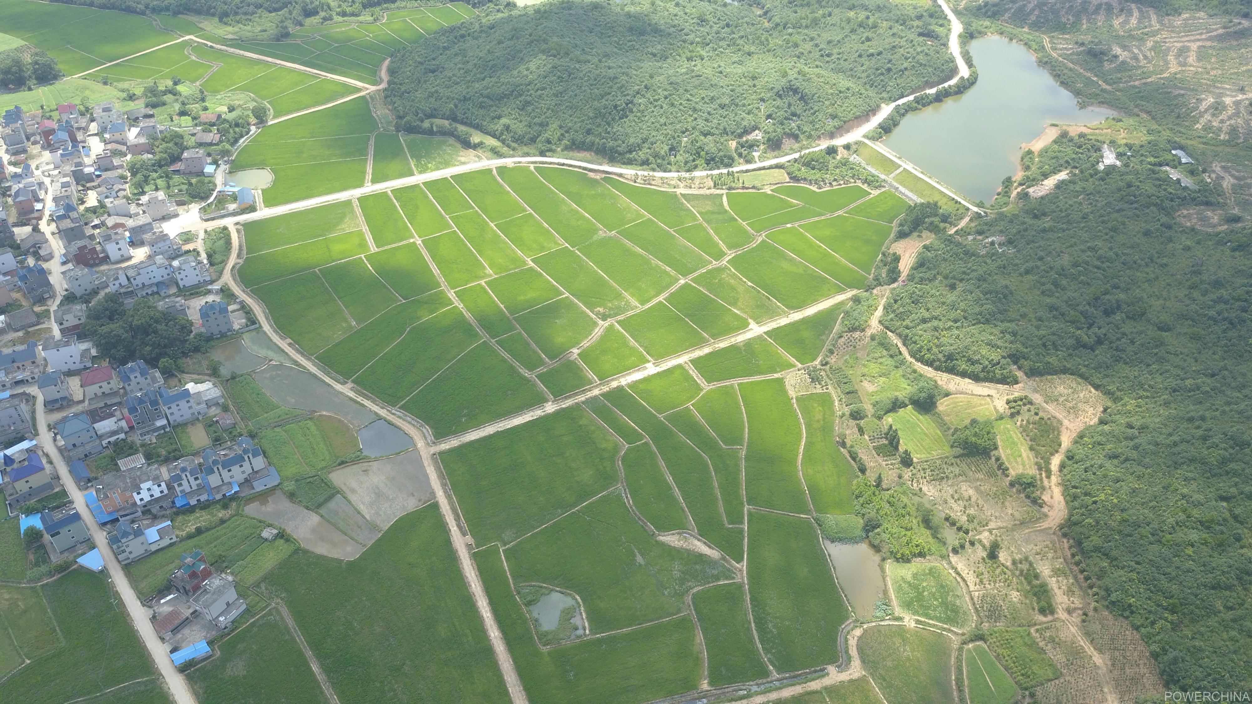 投入使用后的江西省万年县2019年高标准农田建设项目