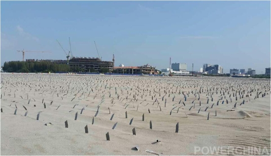 3.现场PVD排水板施工形象面貌_副本.jpg