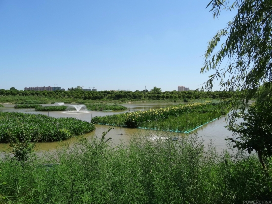 治理后的桐溪河“思德”廣場河面景觀實景(水質為Ⅲ類).JPG