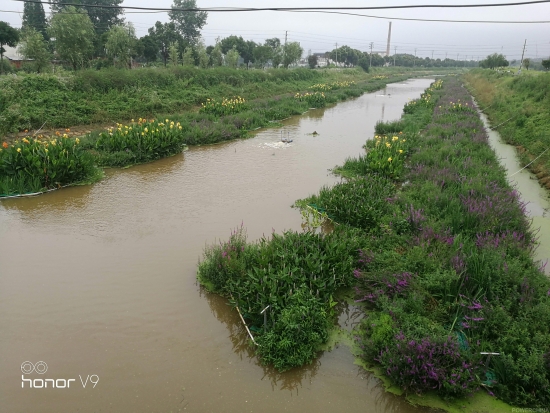 治理后的桐溪河道(水質為IV類)實景圖.jpg