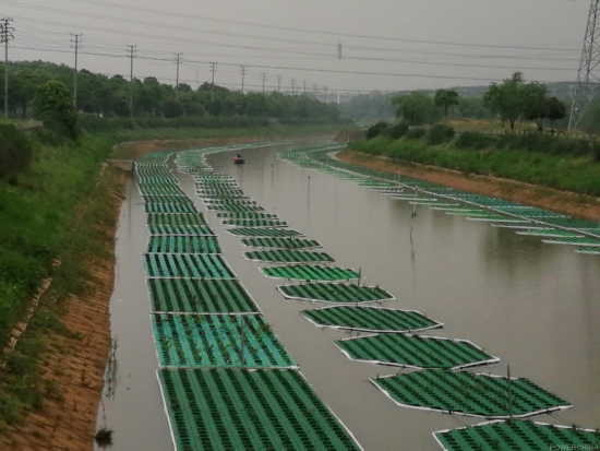 桐溪河道清淤后鋪設水生植物浮床.jpg