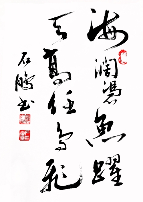 海阔凭鱼跃,天高任鸟飞