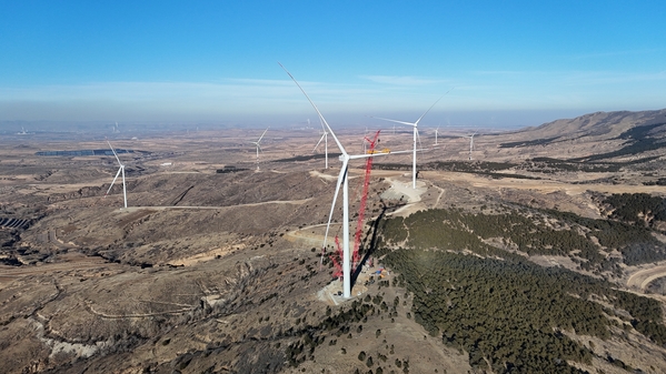 DJI_20250111144943_0193_D(1).jpg