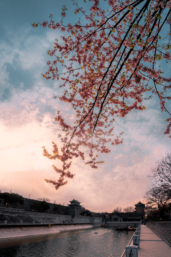 春日夕阳下的护城河.jpg