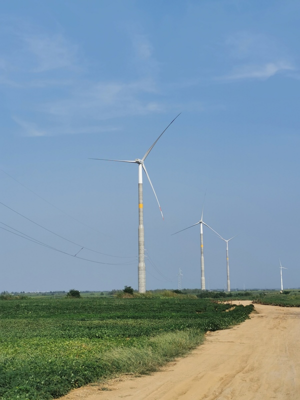 5. 唐河九龙风电项目.jpg