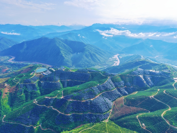 项目部分航拍图-2 (2).jpg