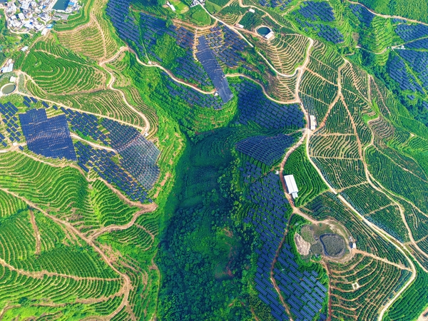 项目部分航拍图-2 (1).jpg