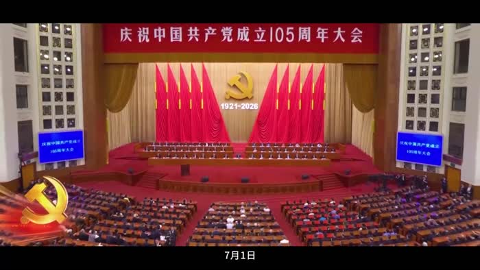 中国电建华东院白鹤滩项目党支部喜获“全国先进基层党组织”