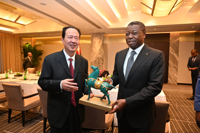 丁焰章拜会多哥部长会议主席福雷·纳辛贝