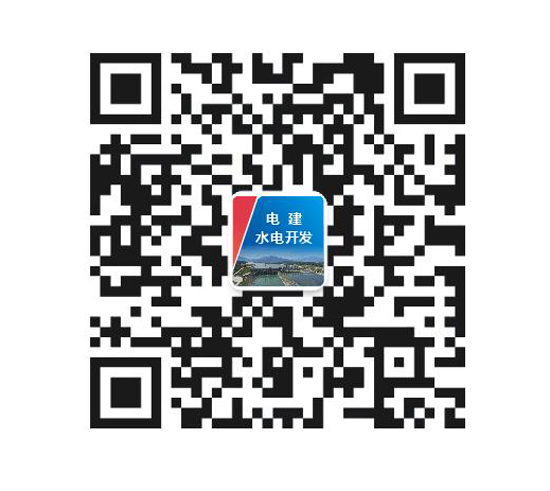  中电建水电开发集团有限公司