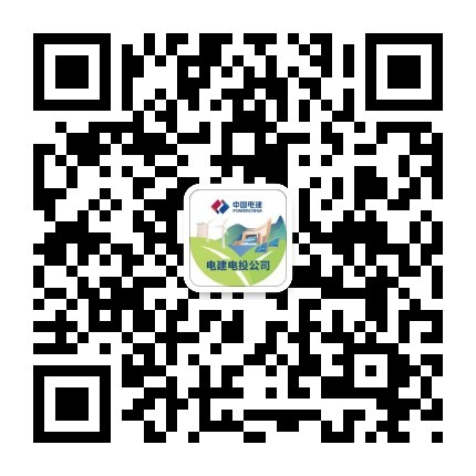  中电建电力投资集团有限公司
