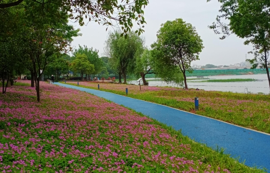 鄱阳县环东湖综合治理景观工程顺利移交